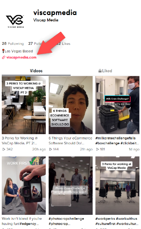 Content Ideas to Advertise on TikTok Viscap Media Profile
